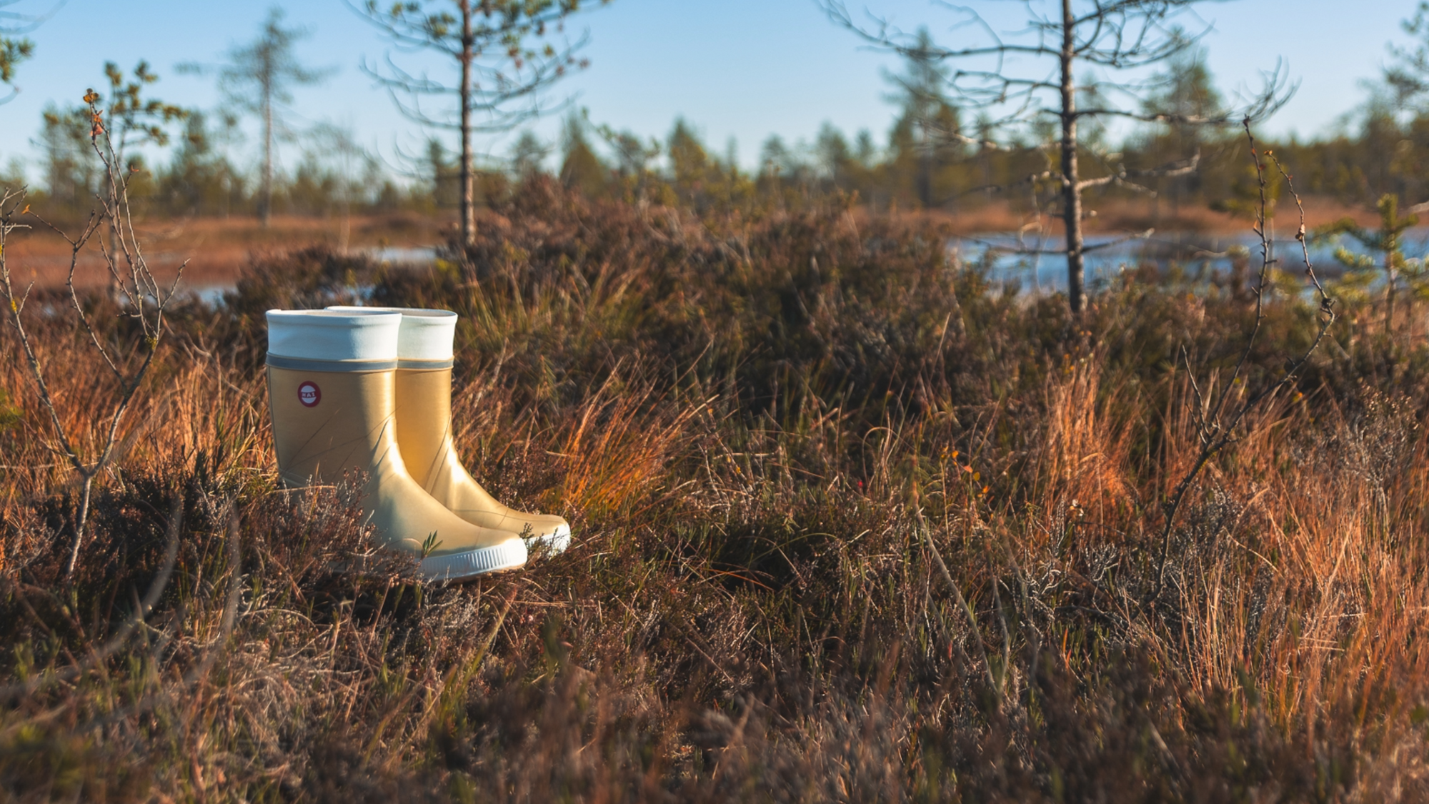 Hai kultaiset kumisaappaat luonnossa