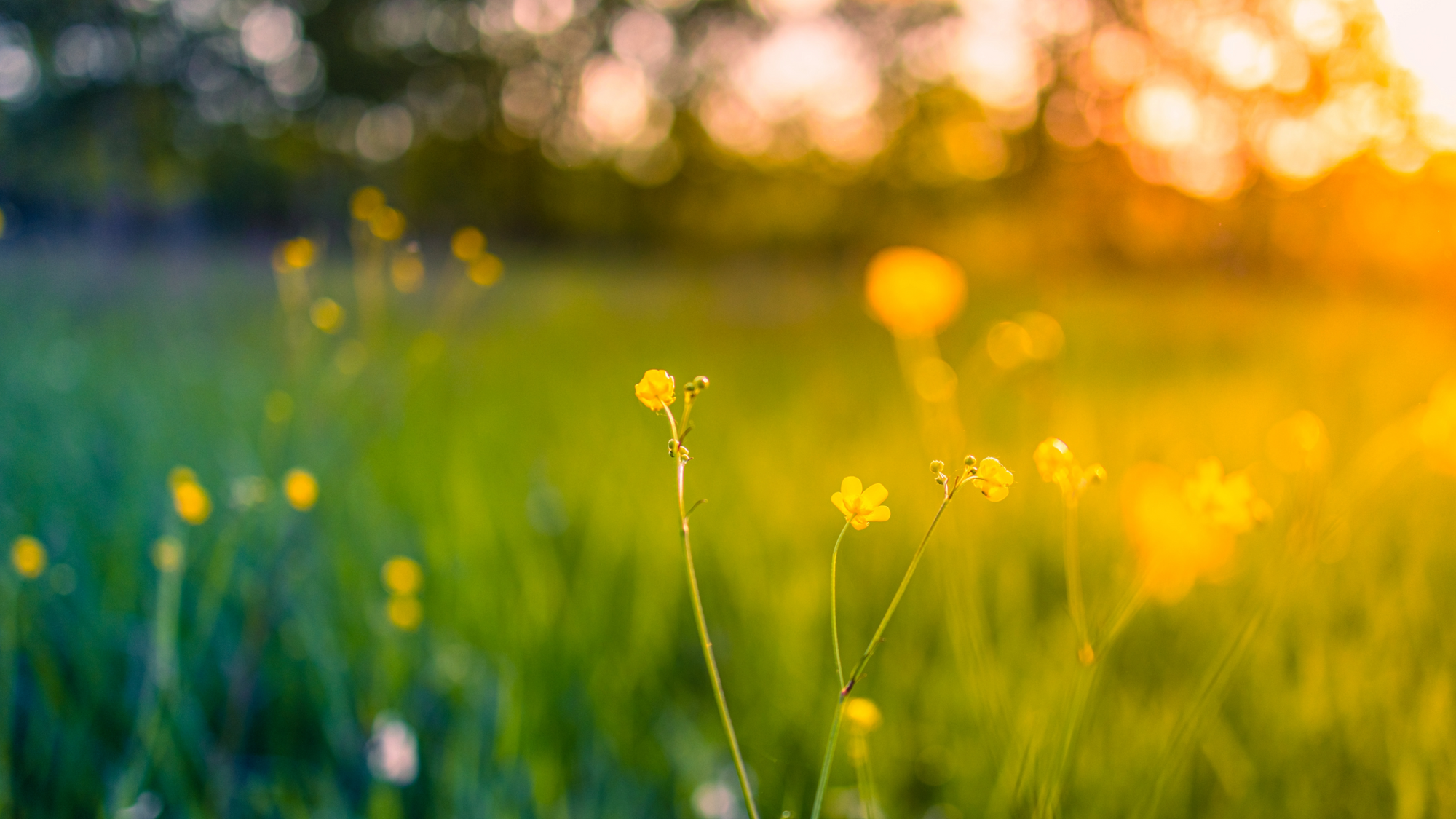 Luonnonkosmetiikka aurinkotuotteet