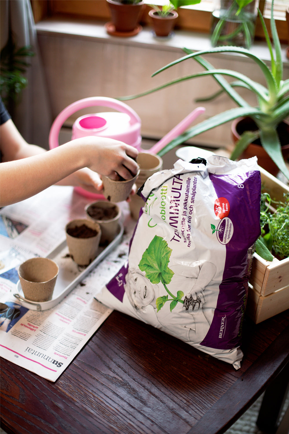 Kädet laittaa Greencare Taimimultaa kasvatusastioihin